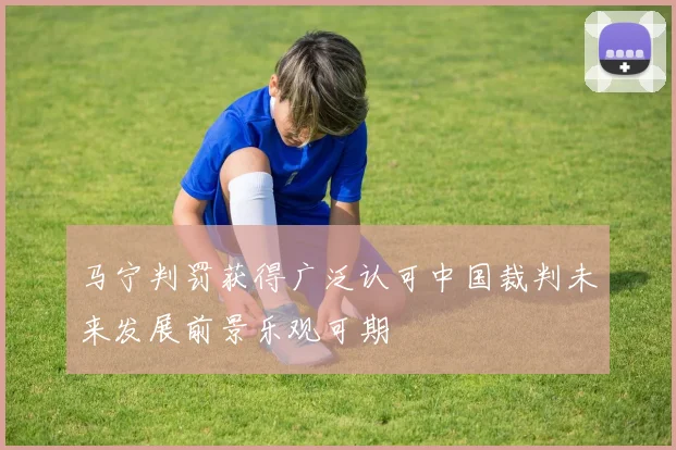 马宁判罚获得广泛认可中国裁判未来发展前景乐观可期